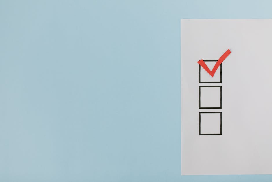 background check outsourcing